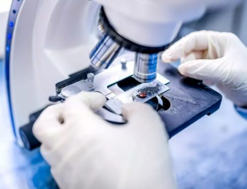 Erytech choisit une fusion de raison avec Pherecydes Pharma
