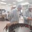 inavive lab