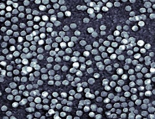 A Sélestat, Superbranche ouvrira une usine-pilote de nanomatériaux pour le diagnostic et le traitement du cancer en septembre