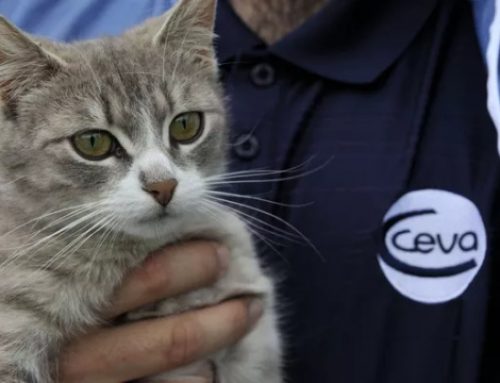 Ceva, le premier laboratoire de santé animale français, inaugure son nouveau siège à Libourne