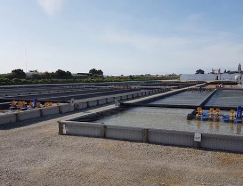 Hemarina pourrait dupliquer sa ferme de Noirmoutier, un élevage inédit de vers marins pour produire un substitut de l&rsquo;hémoglobine